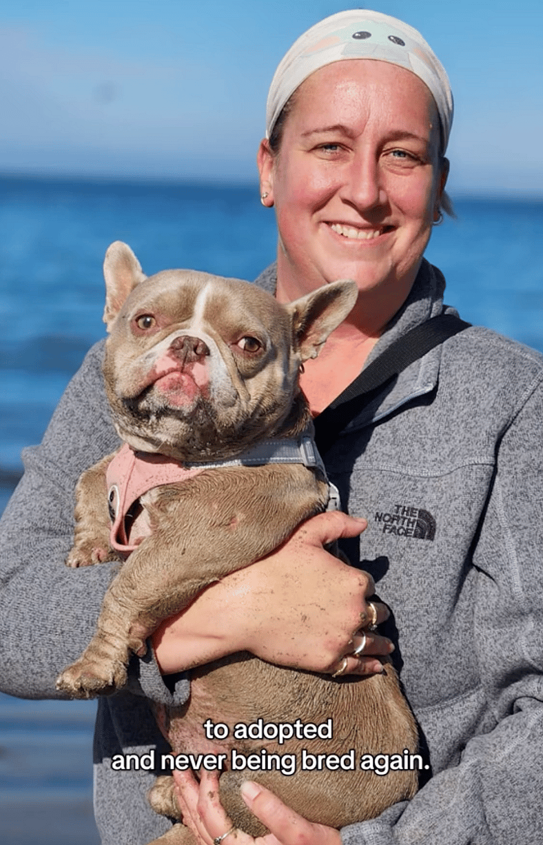 These Exotic Bullies Were Almost Euthanized Due to Unethical Breeding —But One Hero Changed Their Fate